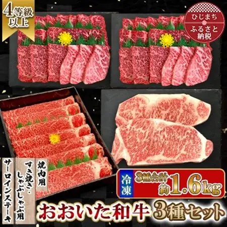 おおいた和牛3種セット 合計1.66kg(サーロインステーキ・すき焼き/しゃぶしゃぶ用・焼肉用)【配送不可地域：離島】【1700678】