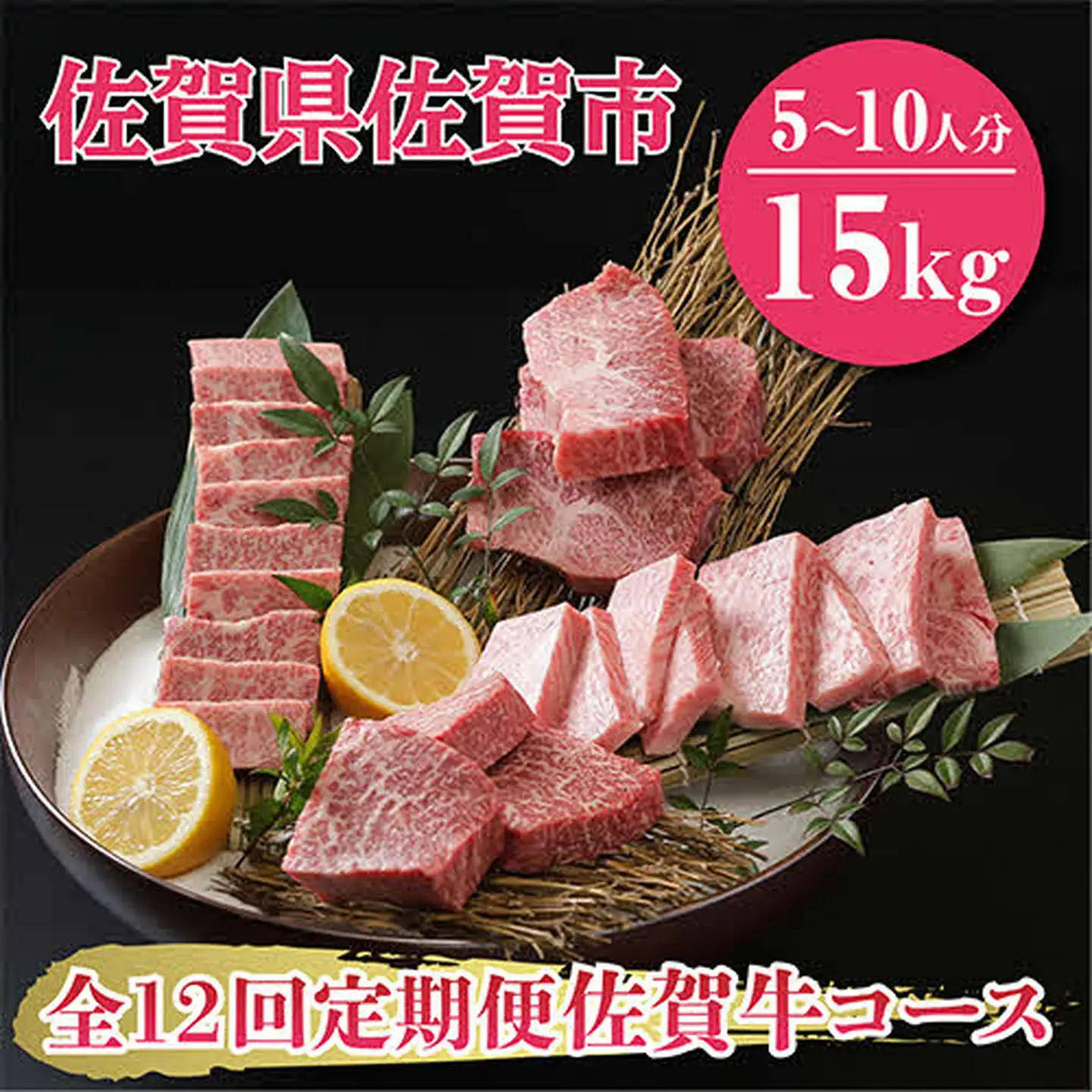 【全12回定期便】佐賀牛15kgコース（5～10人分）：C858-001