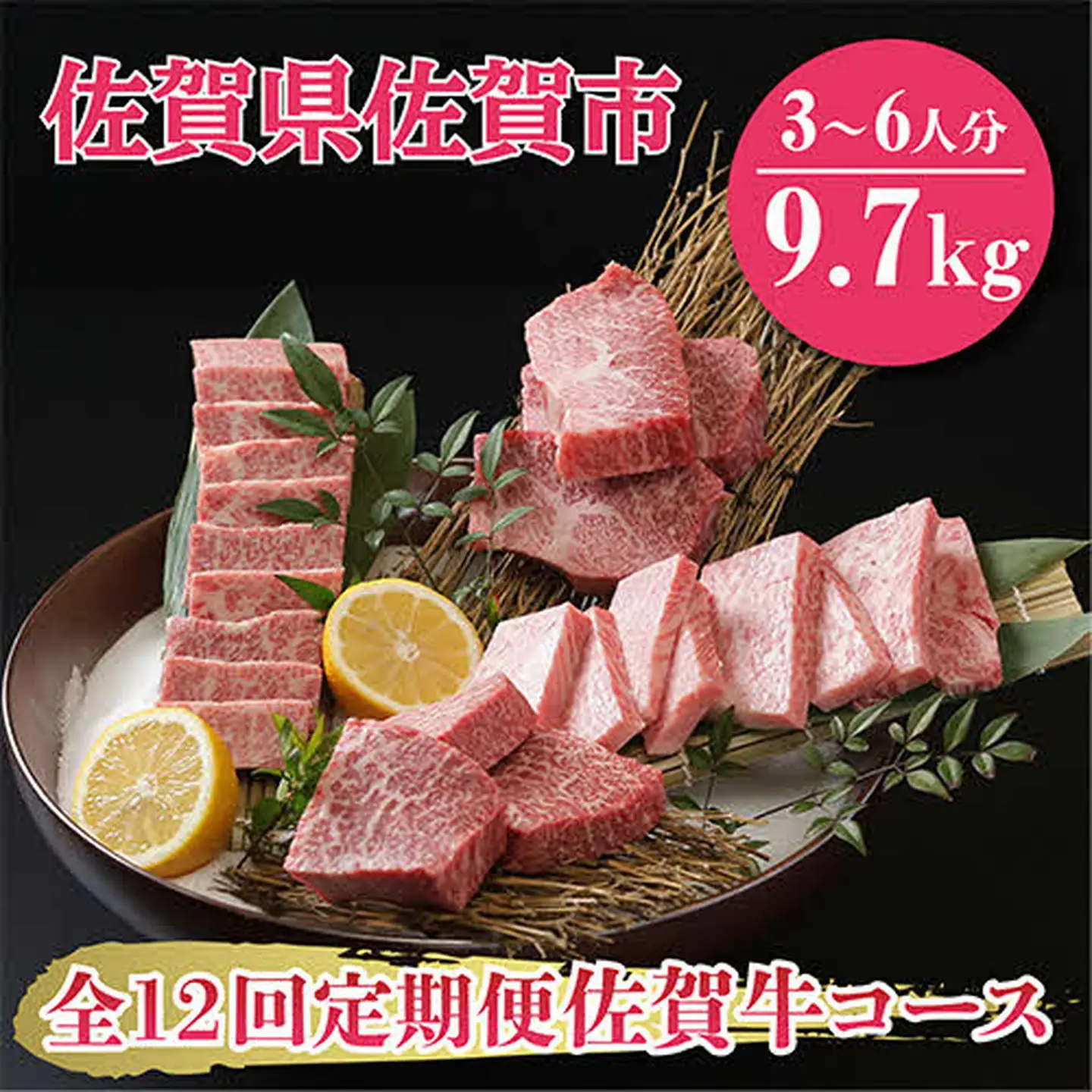 【全12回定期便】佐賀牛9.7kgコース（3～6人分）：C526-001