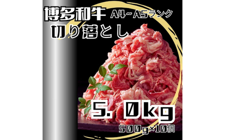 【訳あり】博多和牛A4ランク以上切り落とし 5.0kg（500g×10個） 広川町 / 株式会社木村食品[AFCG053]
