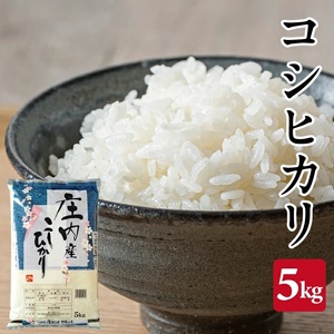コシヒカリ 5kg 令和7年産米 山形県庄内産 東北 遊佐町 庄内地方 庄内平野 米 お米 精米 白米 庄内米 ごはん ご飯 [1460R07]