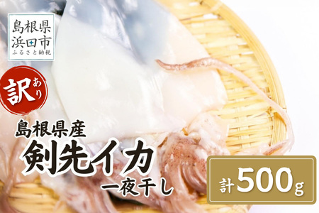 訳あり品でも味は正規品　島根県産剣先イカ一夜干し計５００ｇ（5～10枚） 【005_2078】