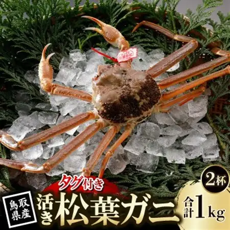 【先行予約】鳥取県産 タグ付き 活 松葉がに 500g×2杯(中村商店)2027年1月末より順次発送【配送不可地域：離島・北海道・沖縄県・東北・信越、北陸】【1692907】