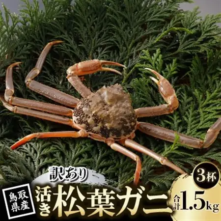 【先行予約】鳥取県産 訳あり 活 松葉がに 500g×3杯(中村商店)2027年1月末より順次発送【配送不可地域：離島・北海道・沖縄県・東北・信越、北陸】【1692921】