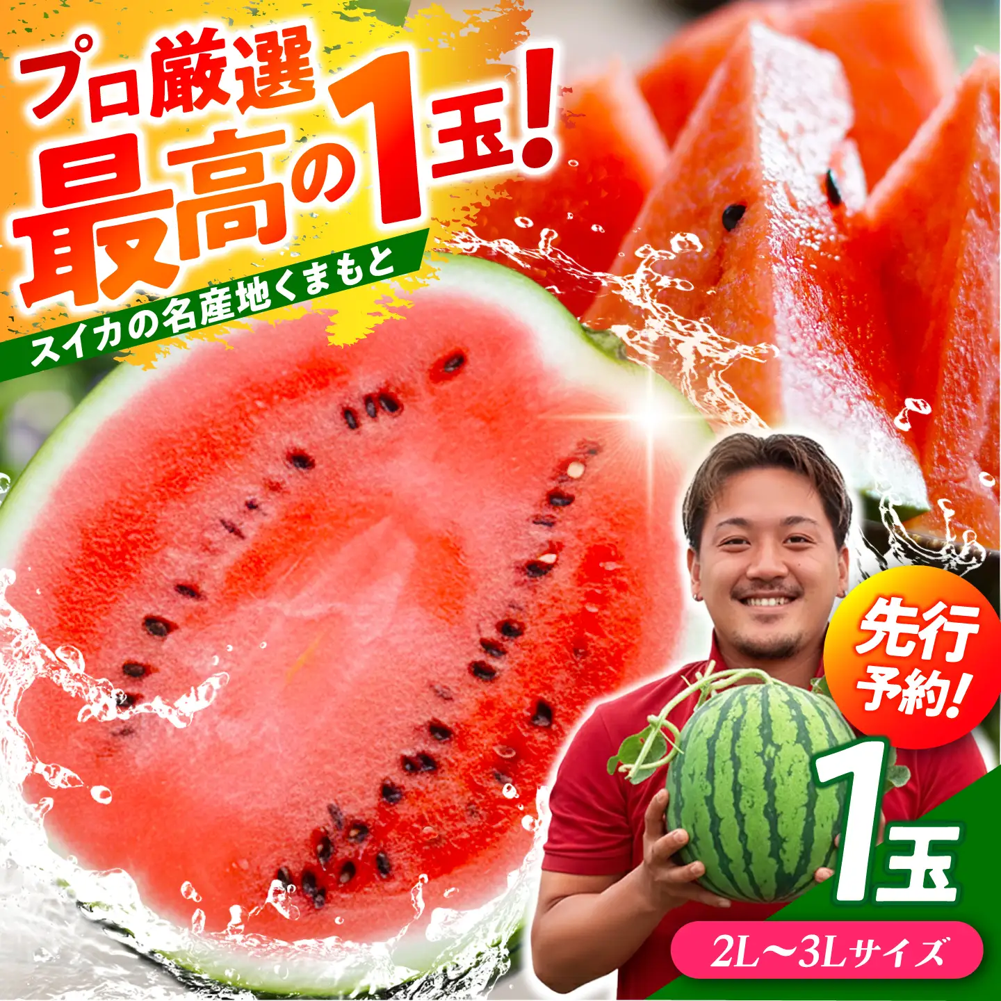 【先行予約】熊本すいか大玉2L〜3Lサイズ1玉 (約7〜9kg)[ZFV001]