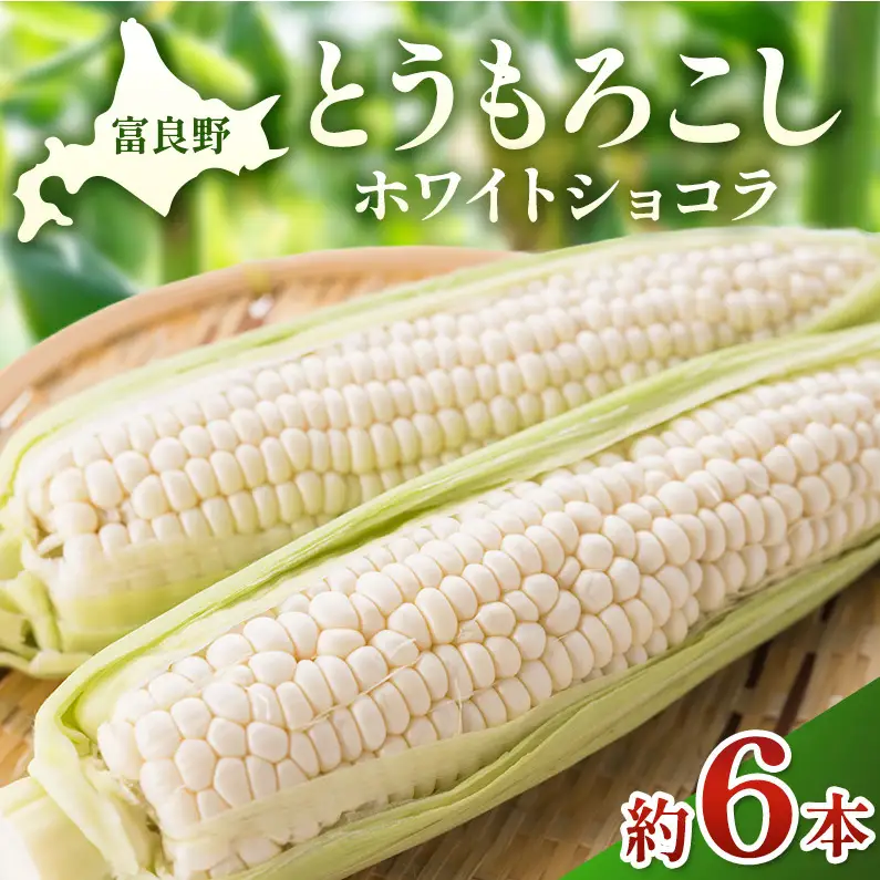 【2026年夏発送】富良野産 とうもろこし ホワイトショコラ 約6本 [近藤農園] とうもろこし コーン とうきび 野菜 新鮮 甘い 贈り物 ギフト 道産 ジューシー ふらの ブランド 夏 北海道 富良野市