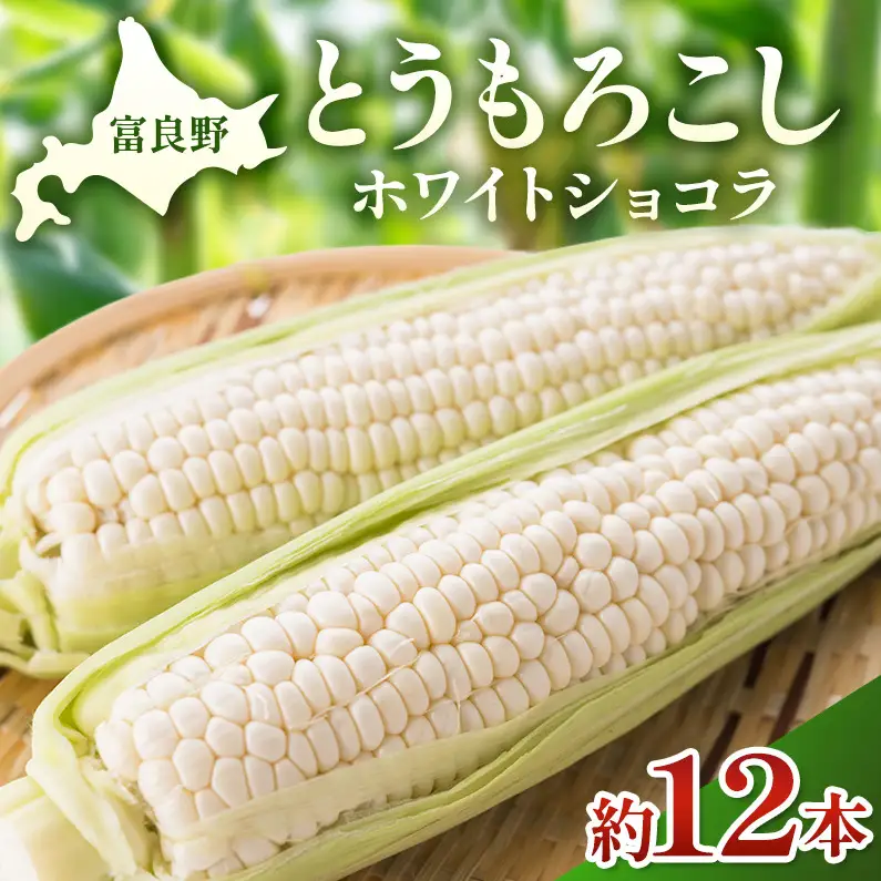 【2026年夏発送】富良野産 とうもろこし ホワイトショコラ 約12本 [近藤農園] とうもろこし コーン とうきび 野菜 新鮮 甘い 贈り物 ギフト 道産 ジューシー ふらの ブランド 夏 北海道 富良野市