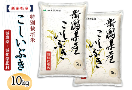 75-7K101新潟県長岡産特別栽培米こしいぶき10kg（5kg×2袋）【2026年5月発送】