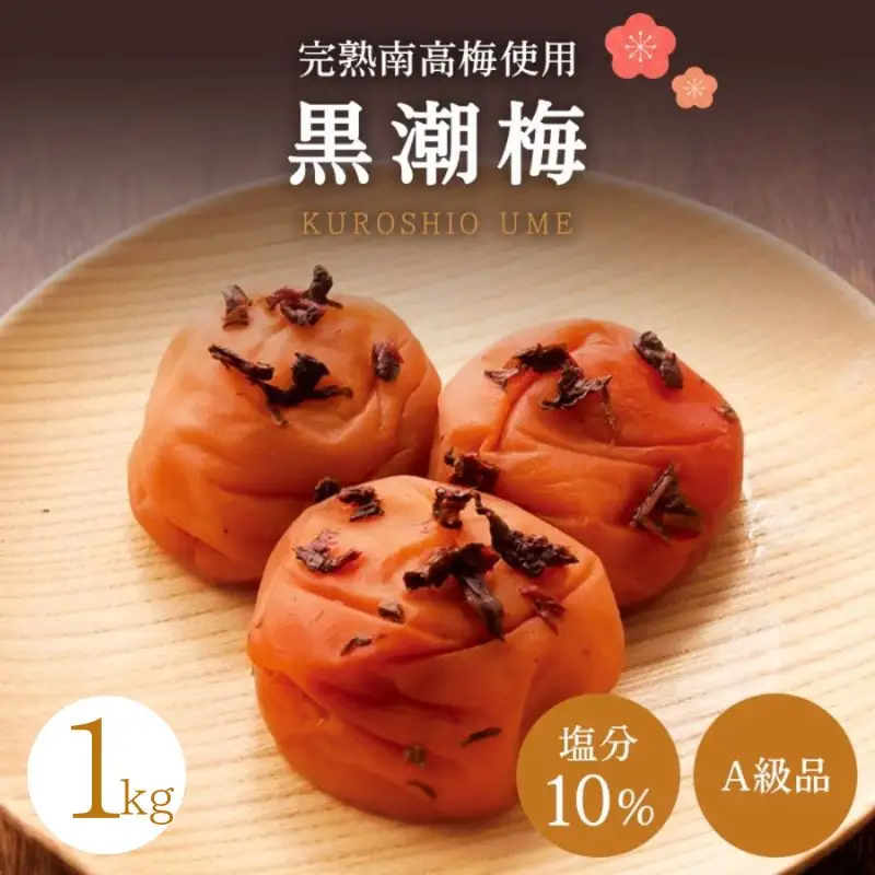 【A級品】紀州南高梅 黒潮梅 500g 塩分10％ / 梅干し 梅干 うめぼし 南高梅 国産 梅 うめ ウメ 完熟 しそ 紫蘇 シソ かつお 鰹 カツオ 健康 ご飯のお供 昔ながら 贈り物 ギフト プレゼント お取り寄せ せんのうめ 和歌山県 田辺市 仙宝【spo009】
