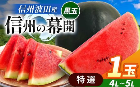 【先行受付】信州波田産 贈答用 黒玉スイカ ！信州の幕開 【特選】 4L～5Lサイズ 1玉