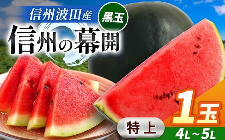 【先行受付】信州波田産 贈答用 黒玉スイカ！信州の幕開 【特上】 4L～5Lサイズ 1玉