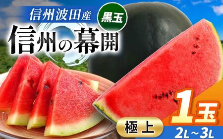 【先行受付】信州波田産 贈答用 黒玉スイカ ！信州の幕開 【極上】 2L～3Lサイズ 1玉