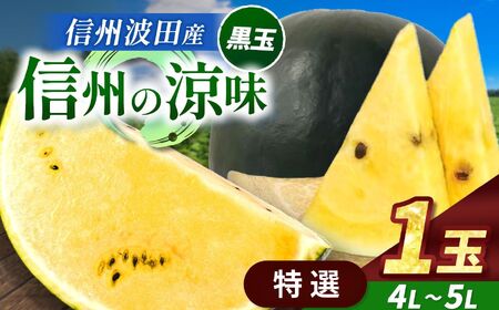 【先行受付】信州波田産 高級 黒玉スイカ！信州の涼味 【特選】 4L～5Lサイズ 1玉