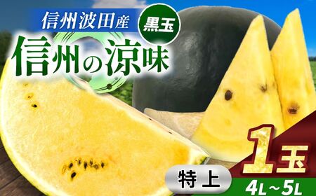 【先行受付】信州波田産 高級 黒玉スイカ！信州の涼味 【特上】 4L～5Lサイズ 1玉