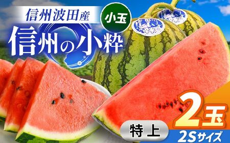 【先行受付】信州波田産 小玉スイカ！信州の小粋 【特上】 2玉 2Sサイズ