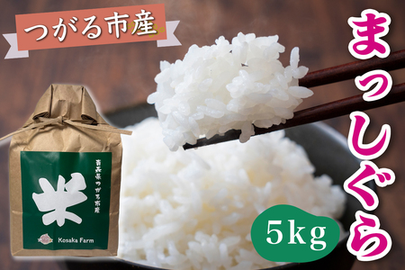 令和7年産 つがる市産 まっしぐら 白米 5kg [0937]