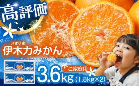 ※【2026年10月下旬より順次発送／先行予約】伊木力みかん(家庭用) 3.6kg(1.8kg×2) / みかん ミカン 蜜柑 オレンジ mikan 柑橘 かんきつ フルーツ ふるーつ 果物 くだもの / 諫早市 / 山野果樹園 [AHCF019]
