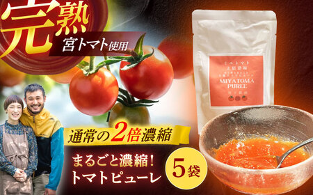 宮トマトのトマトピューレ 100g×5 / トマト ピューレ 濃縮ピューレ とまと 100％ / 諫早市 / 宮下農園[AHCG034]