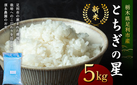 令和7年産 新米 栃木県足利市産とちぎの星5kg 精米 白米 米 こめ ごはん 食品 栃木県 足利市  F7Z-1815