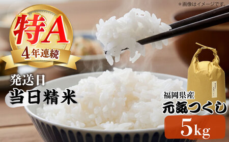 米 【特A】「元気つくし」5kg×1袋 [5kg] [白米] [ABDF201] 令和7年産 米 白米 精米 ご飯 ごはん こめ コメ 