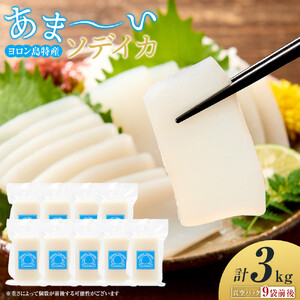 ヨロン島特産☆あま～いソデイカ 3kgセット | イカ