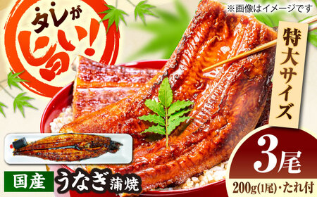 国産活うなぎ蒲焼（3本入）[AICQ009]
