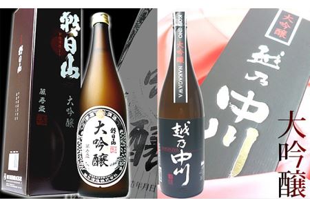 C1-A9B大吟醸飲み比べセット（1800ml×2本）