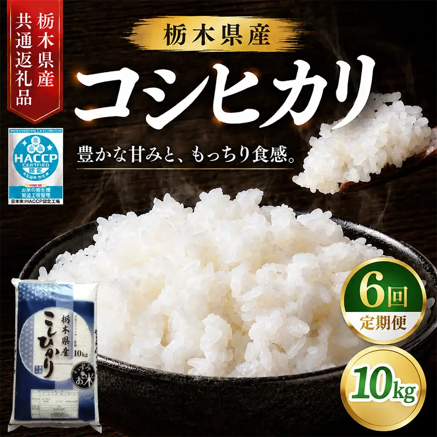 【6回定期便】お米アドバイザー 泉 智が厳選！ 栃木県産コシヒカリ 10kg
