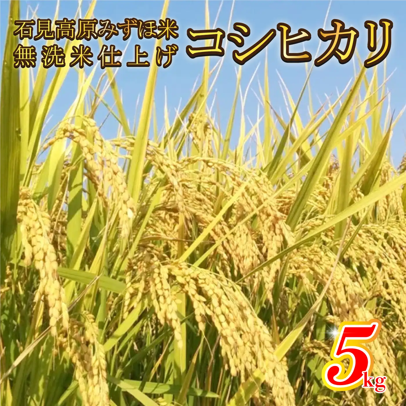 令和7年産!　石見高原みずほ米コシヒカリ 無洗米仕上　5kg