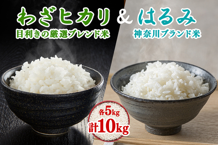 令和7年産 目利きの厳選ブレンド米とはるみの食べ比べセット 各5kg (合計10kg) 五つ星お米マイスター親子プロデュース！ [0888]