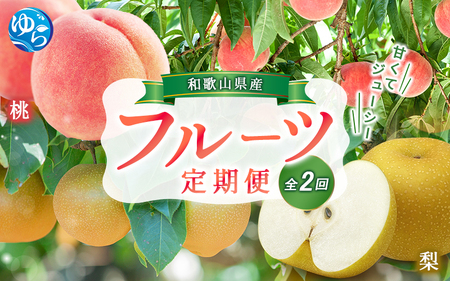 【全2回】かつらぎ町のフルーツ定期便ミニ（桃・梨）【8月・9月】【tkb427】