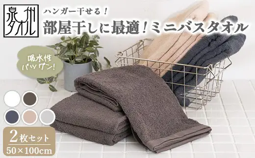 【泉州タオル】部屋干しに最適！ミニバスタオル 2枚セット（同色） ｜ ビッグフェイスタオル コンパクトバスタオル 小さめ バスタオル スマートサイズ ハンガー 干せる 部屋干し 速乾 収納 吸水 髪 日本製 新生活 ※離島への配送不可