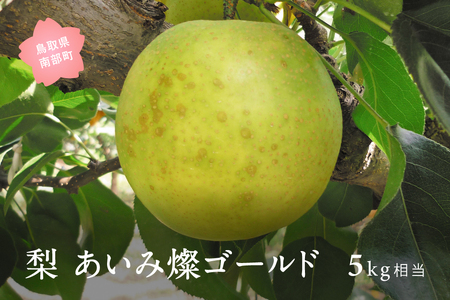 あいみ燦ゴールド [梨]（5kg箱）2026年8月下旬～9月上旬出荷予定＜数量限定＞　二十世紀梨、無袋栽培