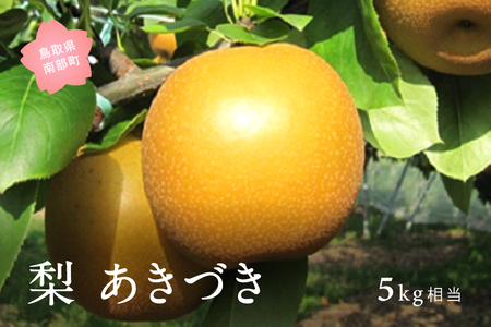 あきづき［梨］（5kg箱）2026年9月出荷予定＜数量限定＞