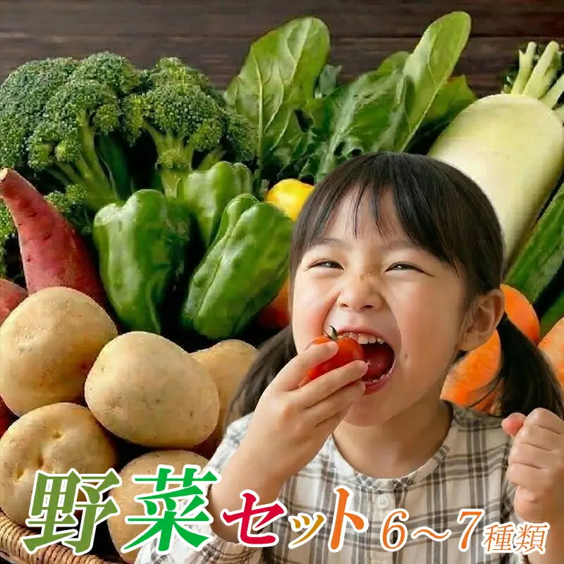 【 安芸野菜 】 野菜 6～7種類 詰め合わせ 安芸野菜