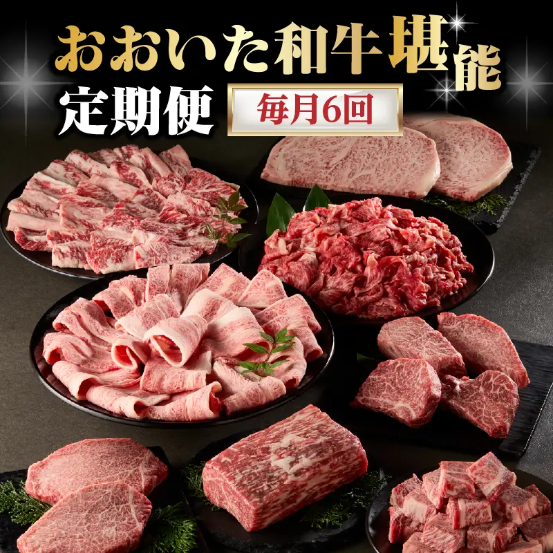 【毎月配送】【おおいた和牛堪能】毎月6回お届け定期便 T10099