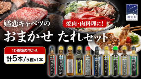 【訳あり】 肉料理のタレ おまかせ 5本 詰め合わせ [AH059tu]