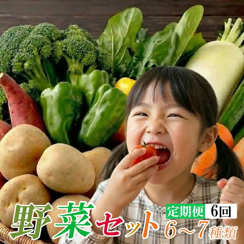 【定期便/計6回】安芸野菜（6、7種）【野菜】AD015