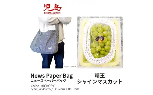 【全2回定期便】 家庭用 シャインマスカット 晴王 2房（1房約530g以上）＋ NEWS PAPER BAG（Hickory） フルーツ 果物 ブドウ ぶどう 葡萄 シャインマスカット マスカット 国産 ギフト 贈答 【2026年10月・11月発送予定】