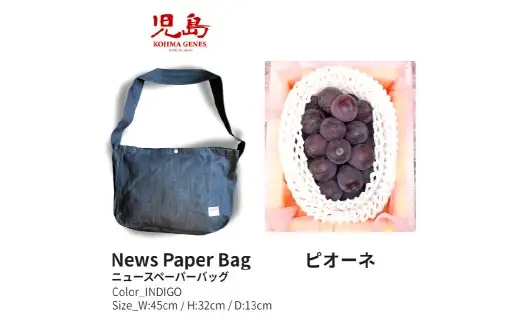 【全2回定期便】 家庭用 ピオーネ 2房（1房約530g以上）＋ NEWS PAPER BAG（INDIGO） フルーツ 果物 ブドウ ぶどう 葡萄 国産 ギフト 贈答 【2026年9月・11月発送予定】