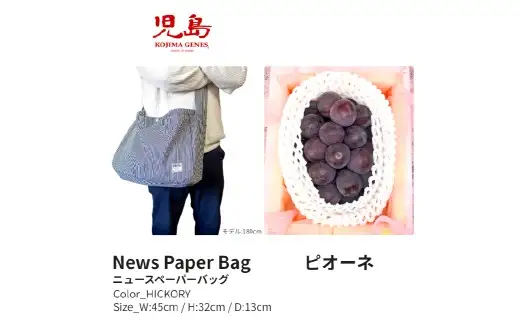 【全2回定期便】 家庭用 ピオーネ 2房（1房約530g以上）＋ NEWS PAPER BAG（Hickory） フルーツ 果物 ブドウ ぶどう 葡萄 国産 ギフト 贈答 【2026年9月・11月発送予定】