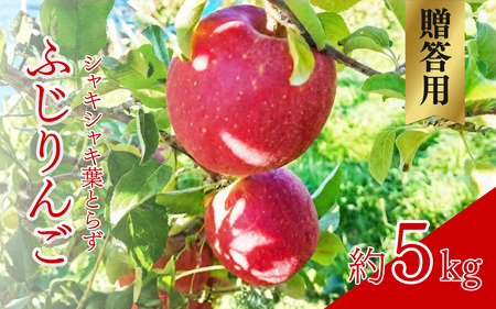【2026年産】 シャキシャキ葉とらず ふじりんご 約5kg 特別栽培農産物 長野県産 りんご リンゴ フルーツ 果物 おやつ デザート 信州 上田 贈答用