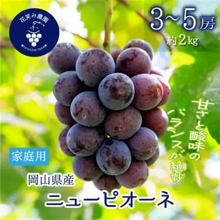 岡山　花笑み農園の『ニューピオーネ』家庭用　約2kg(3～5房)　P-2家【配送不可地域：離島】【1692569】