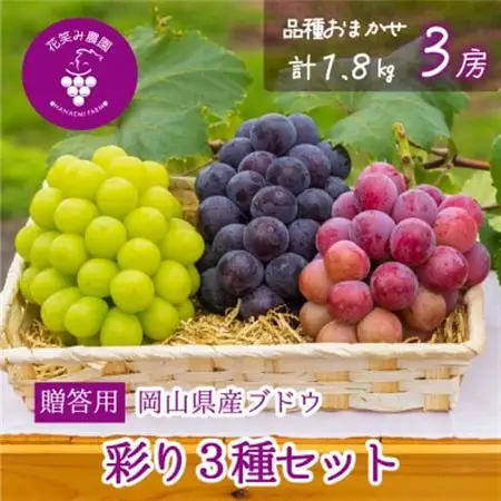岡山　花笑み農園のブドウ『彩り3種セット』贈答用　1.8kg (3房) 3M-2上【配送不可地域：離島】【1695393】