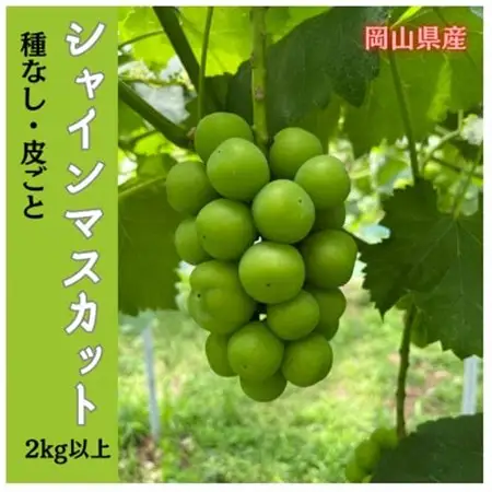 【2026年先行受付】岡山のぶどう(シャインマスカット)2kg(3～5房)【配送不可地域：離島】【1696617】