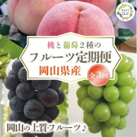 【発送月固定定期便】桃、ピオーネ、シャインマスカットの岡山フルーツ満足便 (岡山県産)全3回【配送不可地域：離島】【4078169】