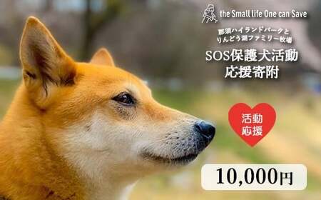 那須ハイ＆りんどう湖　SOS保護犬活動　お礼品なし〔B-131〕｜保護犬 支援 動物愛護 応援 地域応援 愛犬 愛犬家 動物 ペット 社会貢献 保護活動 那須 栃木県 那須町