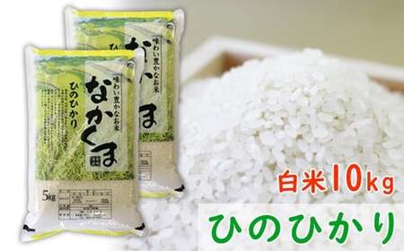 令和7年産 熊本県あさぎり町産のお米 ヒノヒカリ10kg（5kg×2袋） お米 米 ライス おにぎり 弁当 お弁当 国産 九州 熊本県 あさぎり町 常温