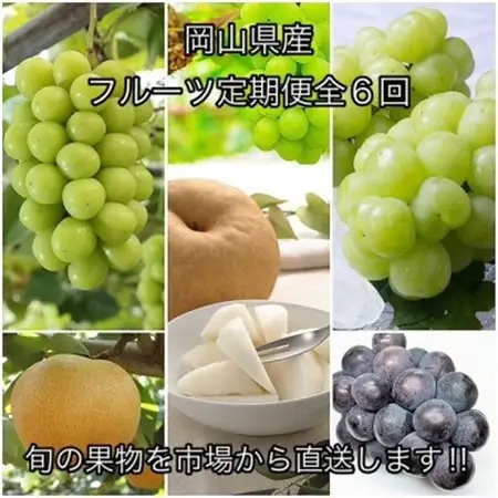 【発送月固定定期便】岡山県産  フルーツ定期便全6回【配送不可地域：離島】【4078577】