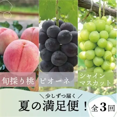 【発送月固定定期便】桃、ピオーネ、シャインマスカットが各月届く、夏の満足便! (岡山県産)全3回【配送不可地域：離島】【4078998】